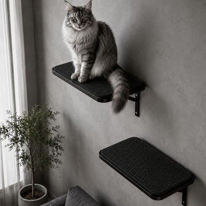 Cat Wall Shelves Set of 2 by PELUOMOZ