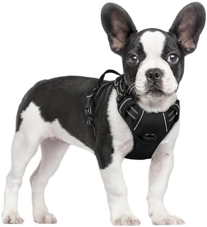 rabbitgoo Dog Harness, No Pull for Small Dogs by rabbitgoo
