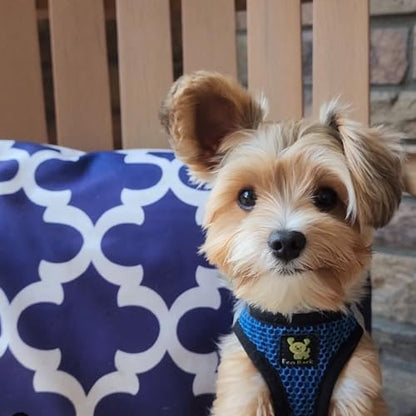 EcoBark Step in Dog Harness - Image 6