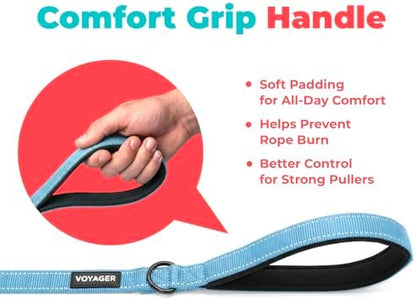 Best Pet Supplies Voyager Nylon Dog Leash - Image 5