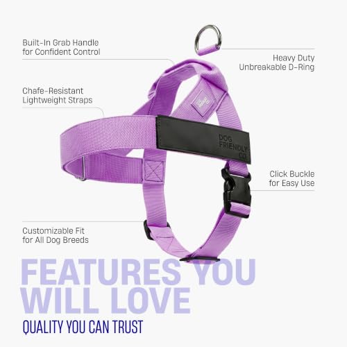 Dog Friendly Co. Dog Harness for Small Dogs - Image 5