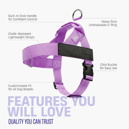 Dog Friendly Co. Dog Harness for Small Dogs - Image 5
