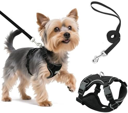 Small Dog Harness and Leash Set, Adjustable Small Sized Pet Vest by Unknown