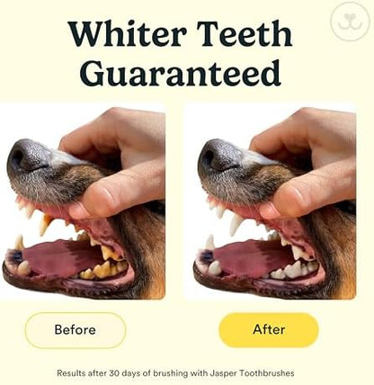 Jasper Dog Toothbrush, 360° Finger Toothbrush - Image 3