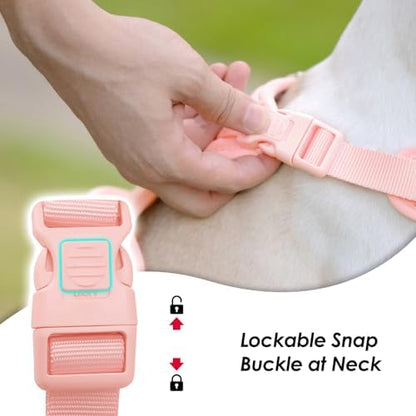 Sunraymascota No Pull Dog Harness - Image 2