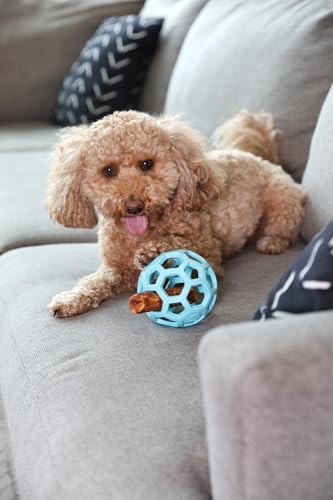 JW Pet HOL-ee Roller Dog Puzzle Ball, Medium 4.5in, Natural Rubber - Image 4