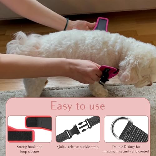Comfort fit Step-in Dog & Puppy Harness - Image 4