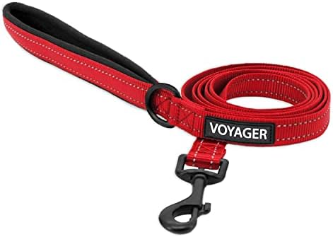 Best Pet Supplies Voyager Nylon Dog Leash by BestPetSuppliesLLC
