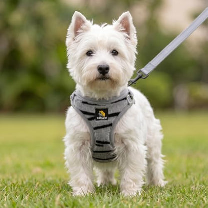 BELLA & PAL Step in Puppy Harness and Leash Set - Image 6