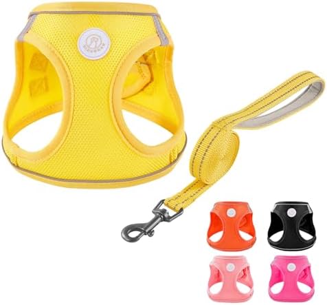 Soft Mesh Dog Harness and Leash Set, No Pull Puppy Harness and Leash Set by Unknown
