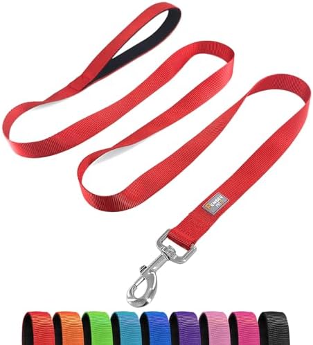 6 FT Reflective Dog Leash for Large Dogs by Penseepet