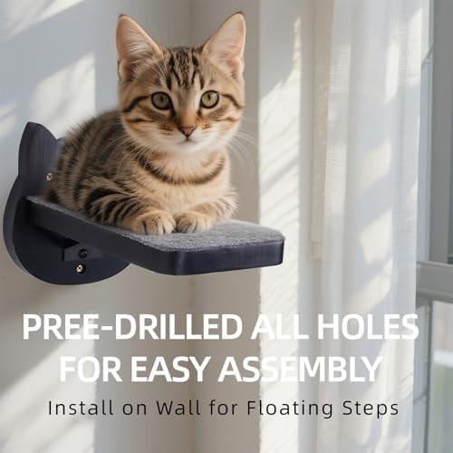 ESPETS Black Painted Solid Wood Cat Wall Climbing Steps - Image 6