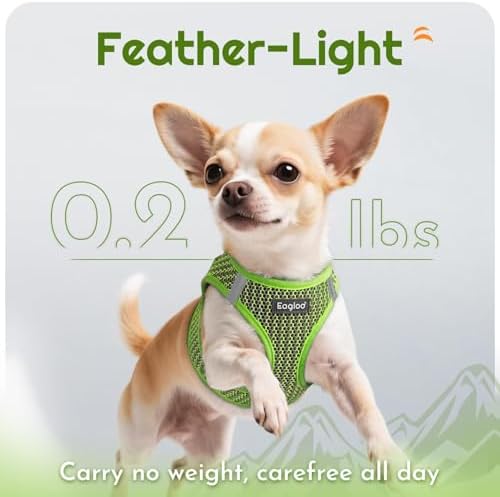 Eagloo Small Dog Harness and Leash Set, Step in Small Sized Puppy Pet Vest - Image 5