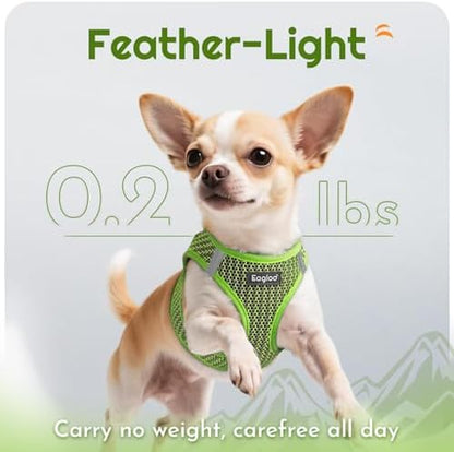 Eagloo Small Dog Harness and Leash Set, Step in Small Sized Puppy Pet Vest - Image 5