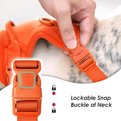Sunraymascota No Pull Dog Harness - Image 2