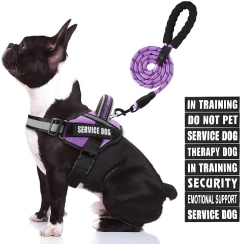 Service Dog Vest Harness and Leash Set, Animire in Training Dog Harness by Animire