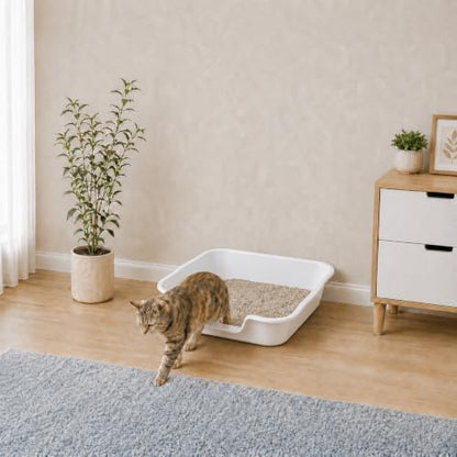 Extra Large Low Entry ABS Cat Litter Box, 2 Pack - Image 4