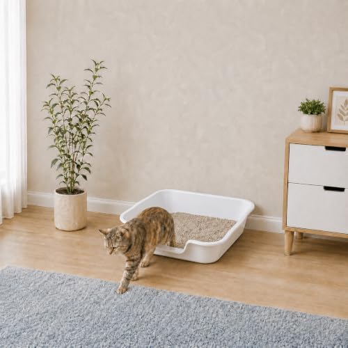 Extra Large Low Entry ABS Cat Litter Box, 1 Pack - Image 4
