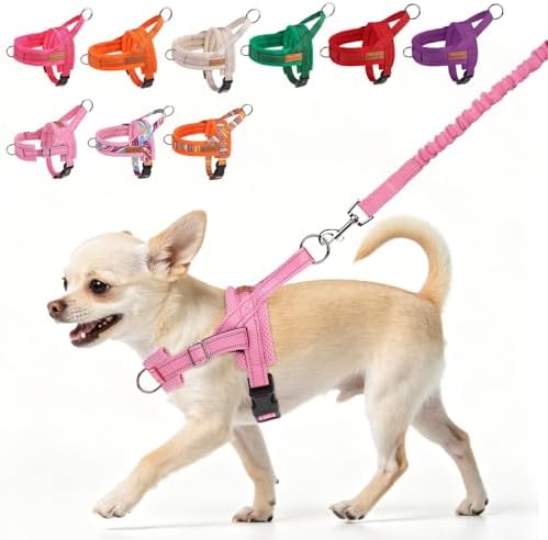 BEAUTYZOO Small Dog Harness and Leash Set, No Pull Step in Puppy Vest by BEAUTYZOO