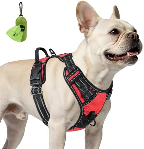 Joytale No Pull Dog Harness for Small Dogs, Front Clip by Joytale
