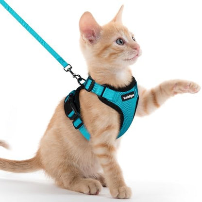 rabbitgoo Cat Harness and Leash Set, Escape Proof Vest by rabbitgoo