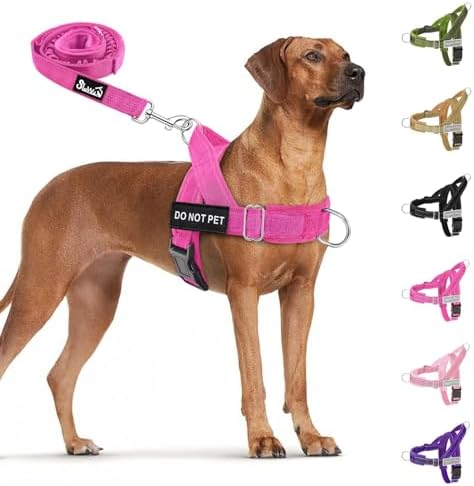 SlowTon No Pull Dog Harness and Leash Set by SlowTon