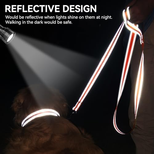 Joytale Reflective Dog Leash for Small Dogs, 6 FT x 3/4" - Image 4