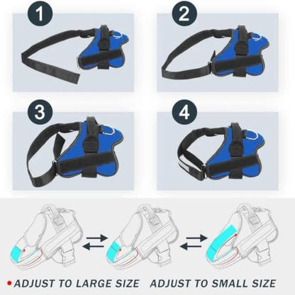Dogshood No Pull Harness, Dogshood Harness - Image 7
