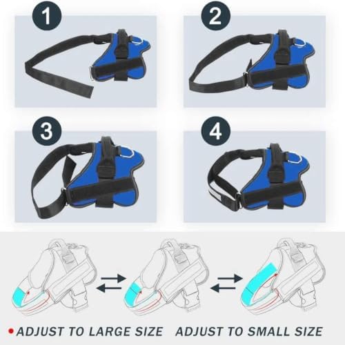 Dogshood No Pull Harness, Dogshood Harness - Image 7