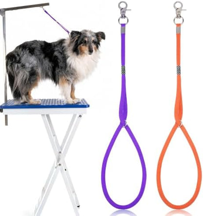 Dog Grooming Leash by Unknown