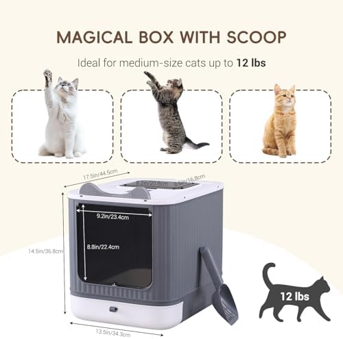 Covered Cat Litter Box with Lid - Image 3