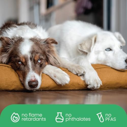 Molly Mutt Mustard Brown Dog Bed Cover, Non-Toxic & 100% Cotton - Image 6