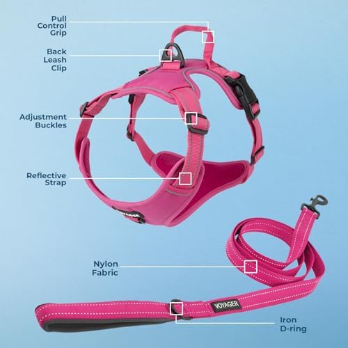 Voyager Dog Harness Dual Leash Attachment No-Pull Control Adjustable Soft but - Image 3