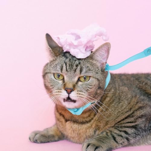 BESTYASH Adjustable Nylon Pet Bathing Loop - Image 6