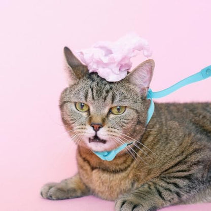 BESTYASH Adjustable Nylon Pet Bathing Loop - Image 6