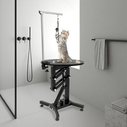 Professional Electric Lift Pet Grooming Table - Image 3
