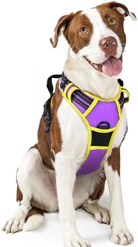 rabbitgoo Dog Harness No Pull by rabbitgoo
