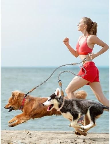 Mile High Life Double Dog Leash - Image 2