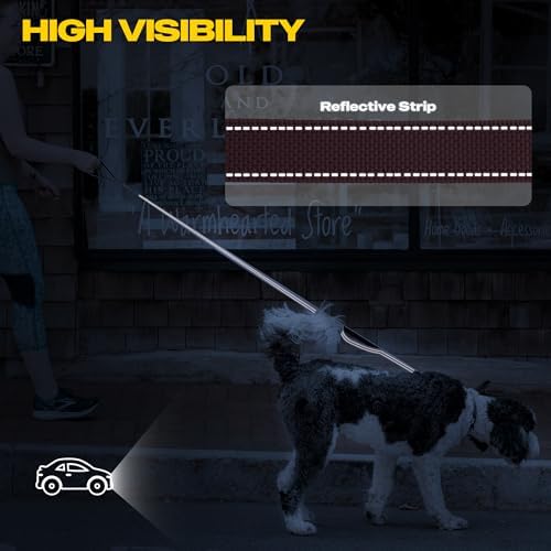 Fida 10 FT Heavy Duty Dog Leash, Dual Padded Handles - Image 5