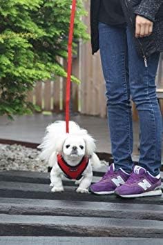 Puppia Soft Dog Harness No Choke Over-The-Head Triple Layered Breathable Mesh - Image 5