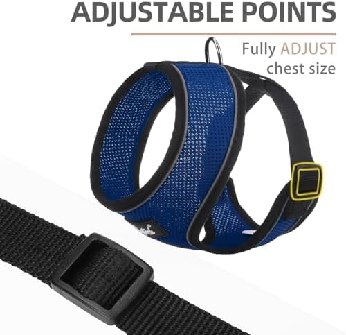 PUPTECK Small Dog Harness and Leash Set No Pull - Image 3