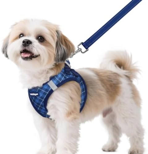rabbitgoo Dog Harness Small Sized and Leash Set, Step in Soft Vest by rabbitgoo