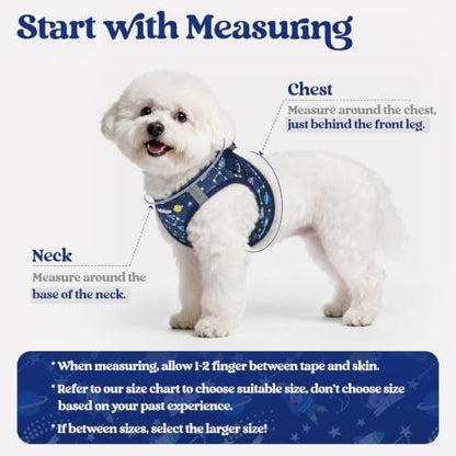 rabbitgoo Dog Harness Medium Sized and Leash Set, Step-in Puppy Pet Vest - Image 2