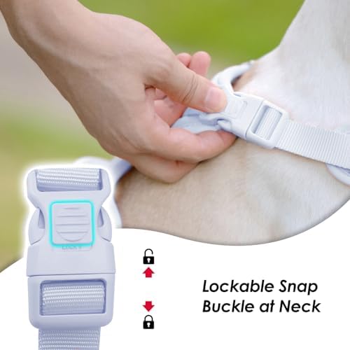 Sunraymascota No Pull Dog Harness - Image 2