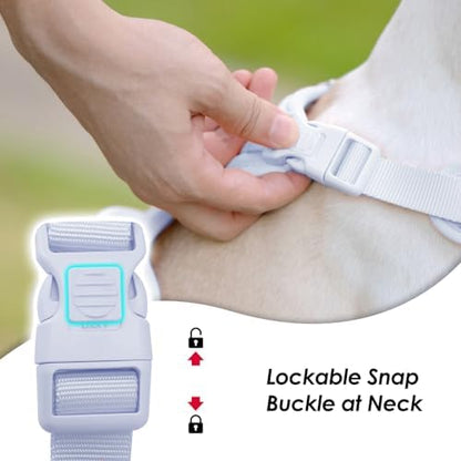 Sunraymascota No Pull Dog Harness - Image 2