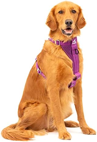 Kurgo Enhanced Strength Tru-Fit Smart Harness, Deep Violet, Extra Large by Kurgo
