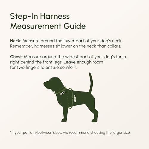 Downtown Pet Supply Step in Dog Harness - Image 5