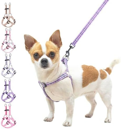 BEAUTYZOO No Pull Dog Harness and Leash Set by BEAUTYZOO