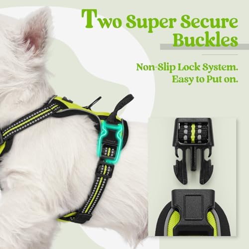rabbitgoo Dog Harness No Pull - Image 3