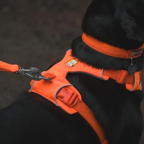 Ruffwear, Front Range Dog Chest Harness, Blaze Orange - Image 5